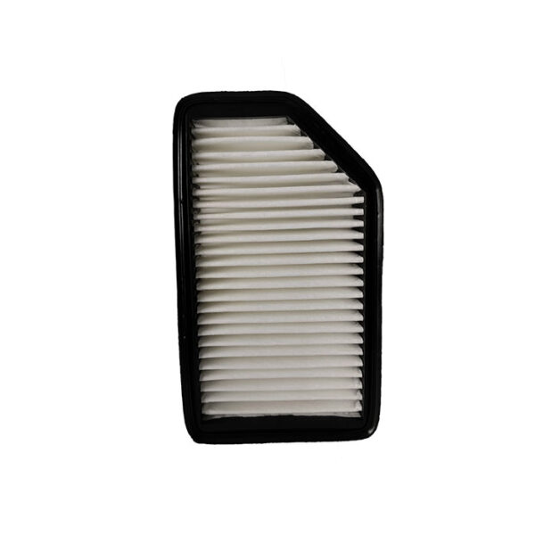 Filtro de aire para Hyundai Accent motor 1.2 y Veloster motor 1.6 KIA Rio motor 1.4 y Soul motor 1.6 - RPS9951312 - Imagen 2