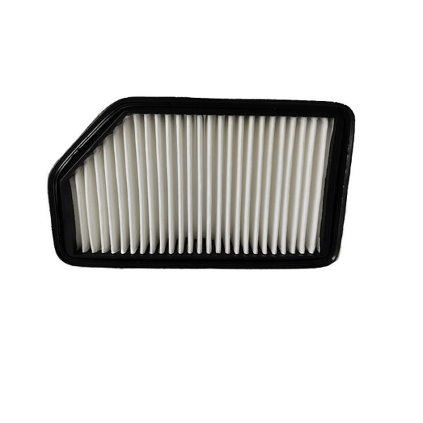 Filtro de aire para Hyundai Accent motor 1.2 y Veloster motor 1.6 KIA Rio motor 1.4 y Soul motor 1.6 - RPS9951312 - Imagen 4